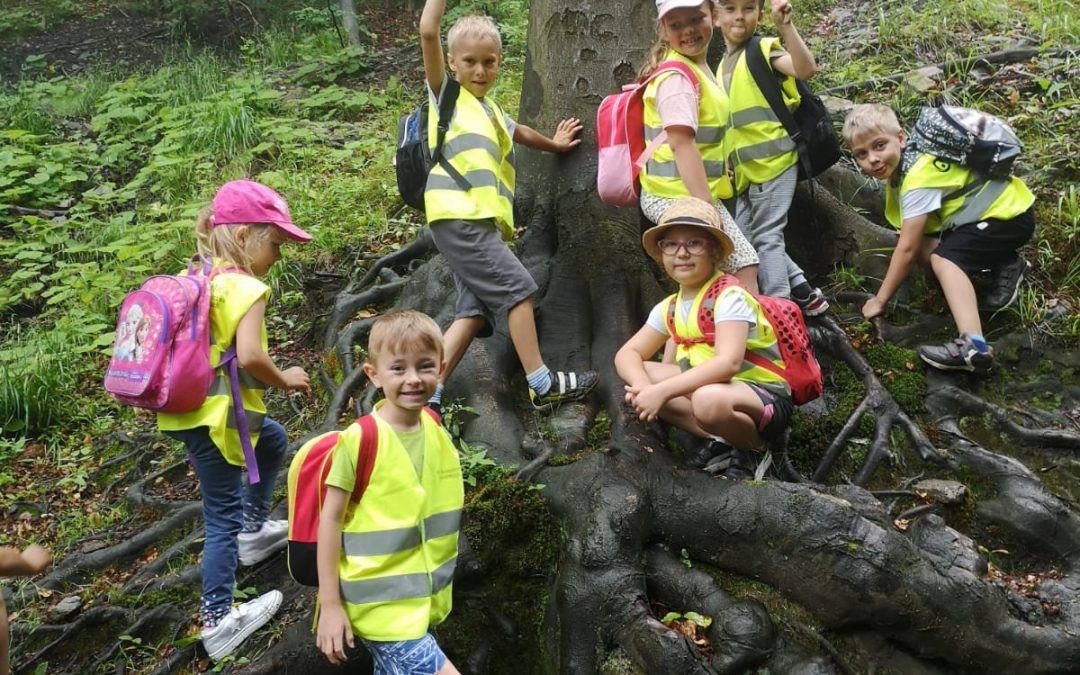 WYCIECZKI- CZYLI ODKRYCIA W REGIONIE