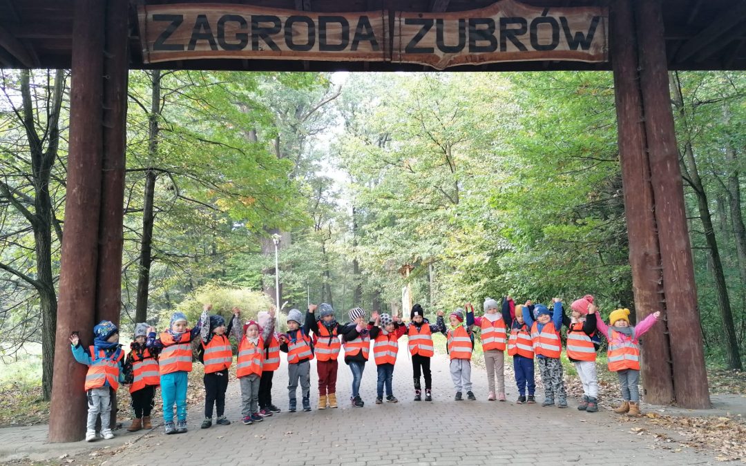 Październikowe wycieczki