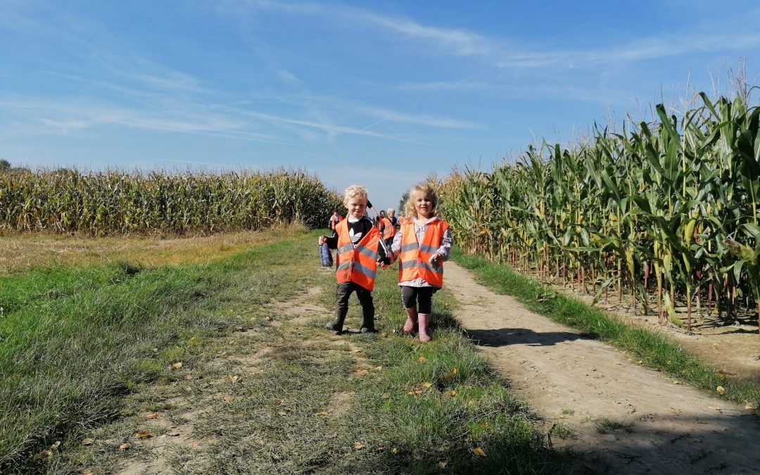 Październikowa jesień w Ochronce