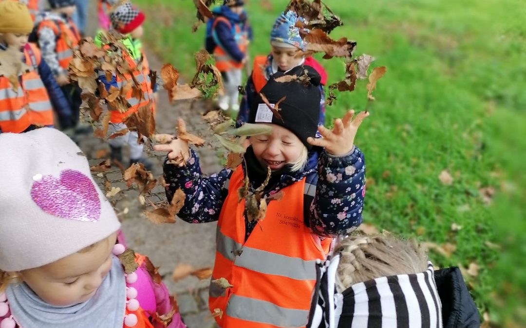 Październikowe wycieczki