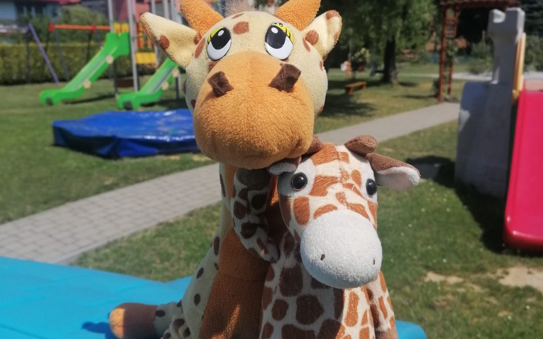 POROZUMIENIE BEZ PRZEMOCY W OCHRONCE