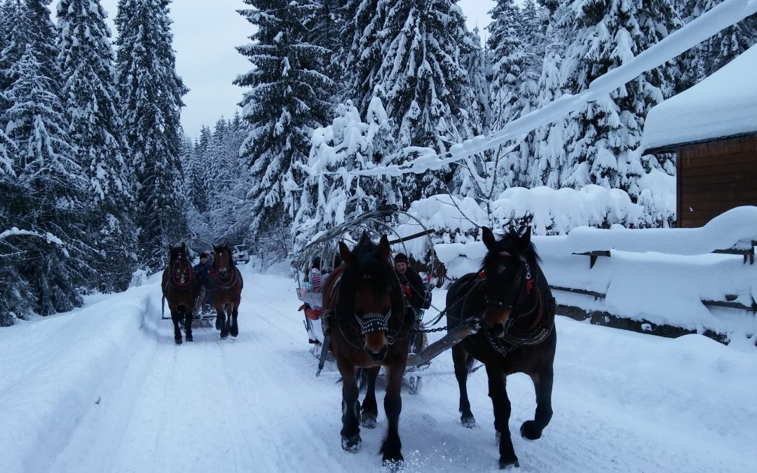 Kulig w Dolinie Białej Wisełki